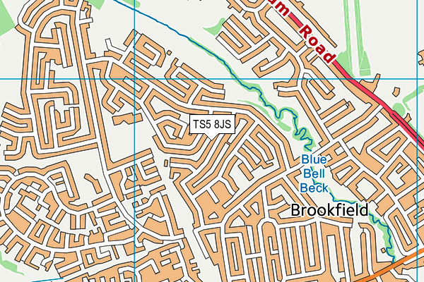 TS5 8JS map - OS VectorMap District (Ordnance Survey)