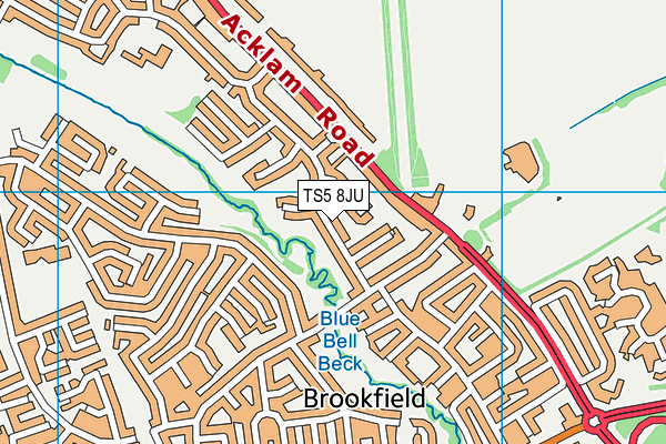 TS5 8JU map - OS VectorMap District (Ordnance Survey)