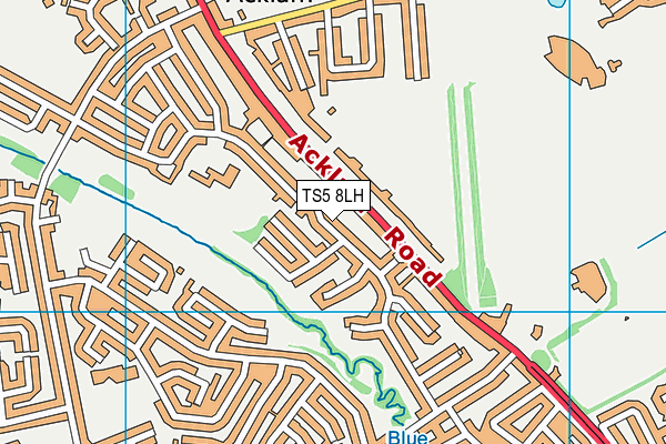 TS5 8LH map - OS VectorMap District (Ordnance Survey)