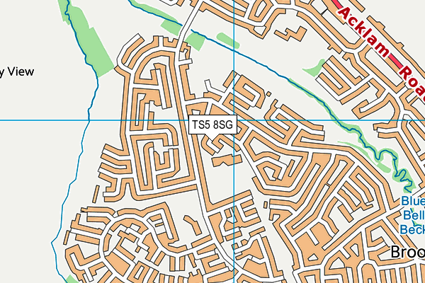 TS5 8SG map - OS VectorMap District (Ordnance Survey)