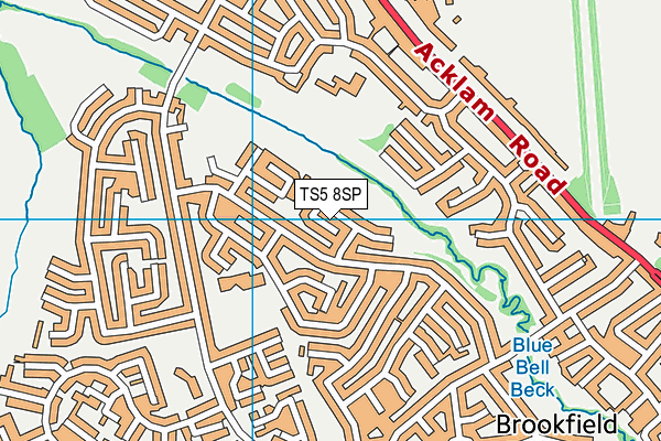 TS5 8SP map - OS VectorMap District (Ordnance Survey)