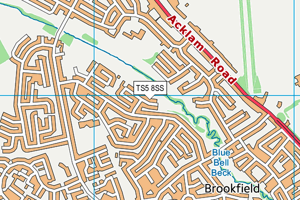 TS5 8SS map - OS VectorMap District (Ordnance Survey)