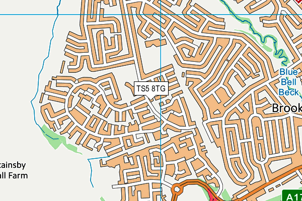 TS5 8TG map - OS VectorMap District (Ordnance Survey)
