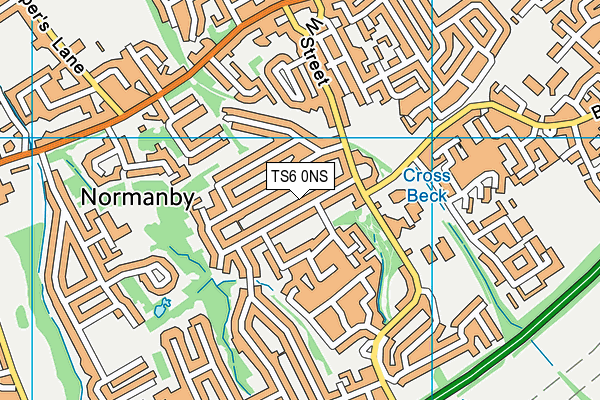 TS6 0NS map - OS VectorMap District (Ordnance Survey)