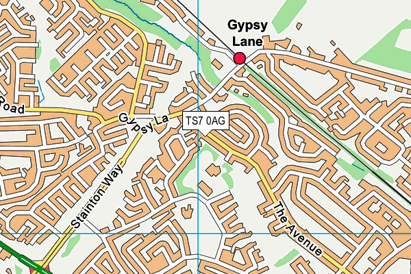 The Avenue Primary School map (TS7 0AG) - OS VectorMap District (Ordnance Survey)