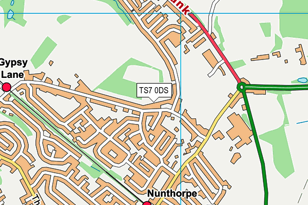 TS7 0DS map - OS VectorMap District (Ordnance Survey)