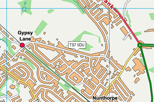 TS7 0DU map - OS VectorMap District (Ordnance Survey)