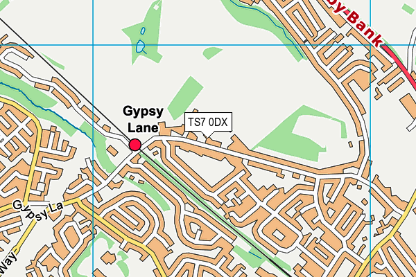 TS7 0DX map - OS VectorMap District (Ordnance Survey)