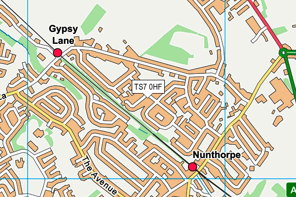 TS7 0HF map - OS VectorMap District (Ordnance Survey)