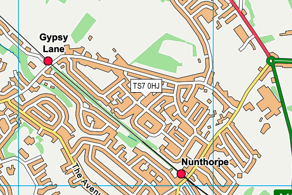 TS7 0HJ map - OS VectorMap District (Ordnance Survey)