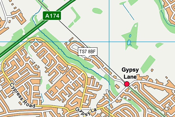 TS7 8BF map - OS VectorMap District (Ordnance Survey)