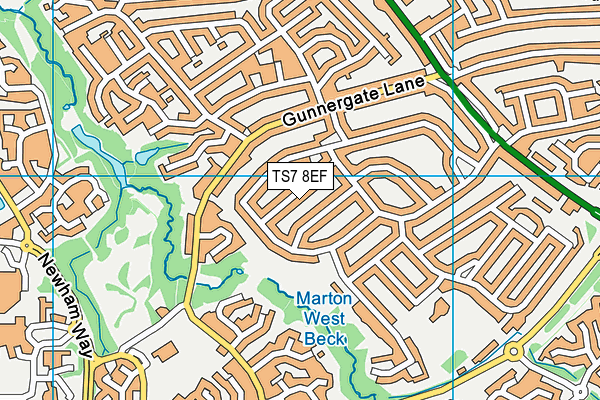 TS7 8EF map - OS VectorMap District (Ordnance Survey)