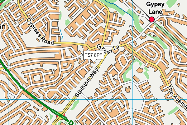 TS7 8PF map - OS VectorMap District (Ordnance Survey)