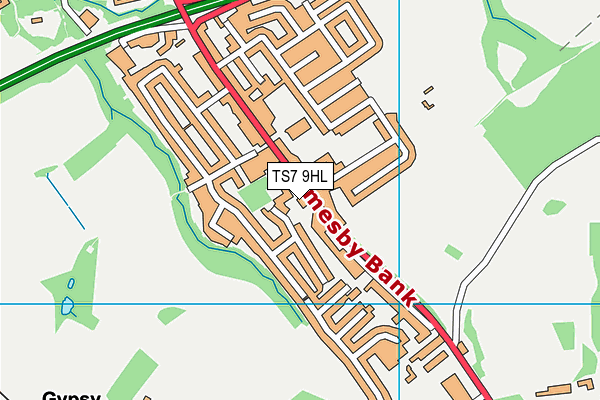 TS7 9HL map - OS VectorMap District (Ordnance Survey)