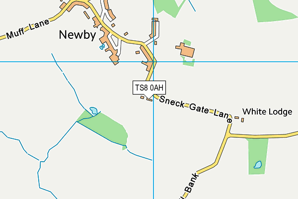 TS8 0AH map - OS VectorMap District (Ordnance Survey)