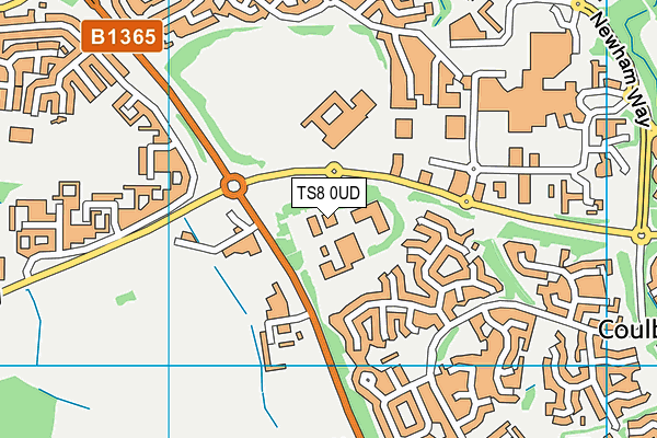TS8 0UD map - OS VectorMap District (Ordnance Survey)