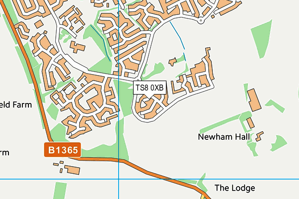 TS8 0XB map - OS VectorMap District (Ordnance Survey)