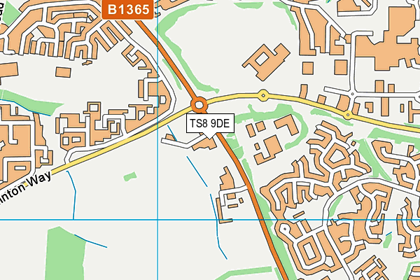 TS8 9DE map - OS VectorMap District (Ordnance Survey)