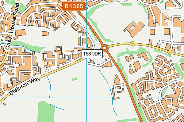 TS8 9DR map - OS VectorMap District (Ordnance Survey)