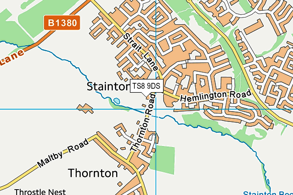 TS8 9DS map - OS VectorMap District (Ordnance Survey)