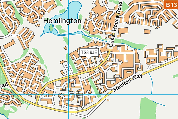 TS8 9JE map - OS VectorMap District (Ordnance Survey)