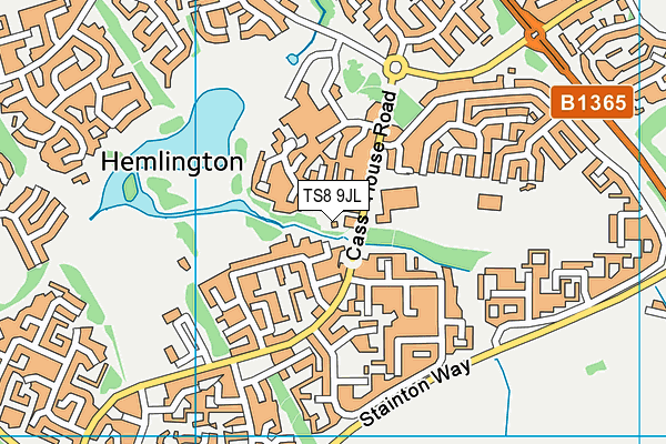 TS8 9JL map - OS VectorMap District (Ordnance Survey)