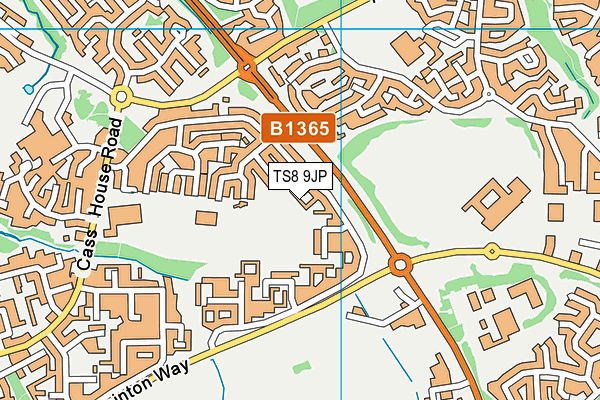 TS8 9JP map - OS VectorMap District (Ordnance Survey)