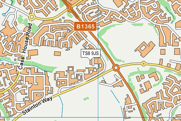 TS8 9JS map - OS VectorMap District (Ordnance Survey)