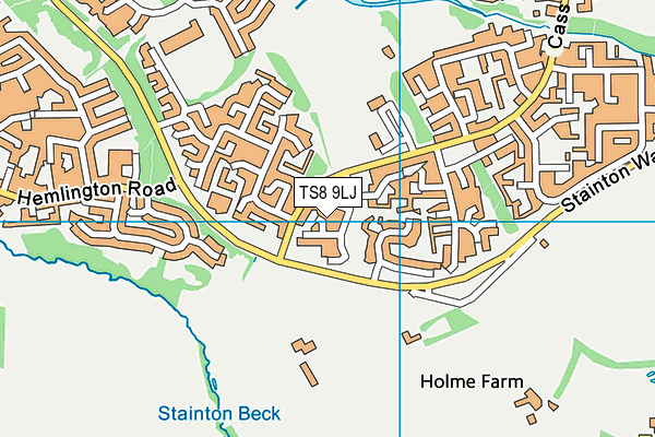 TS8 9LJ map - OS VectorMap District (Ordnance Survey)