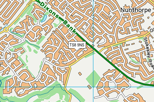 TS8 9NS map - OS VectorMap District (Ordnance Survey)