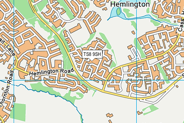 TS8 9SH map - OS VectorMap District (Ordnance Survey)