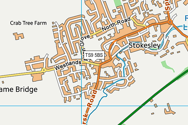TS9 5BS map - OS VectorMap District (Ordnance Survey)