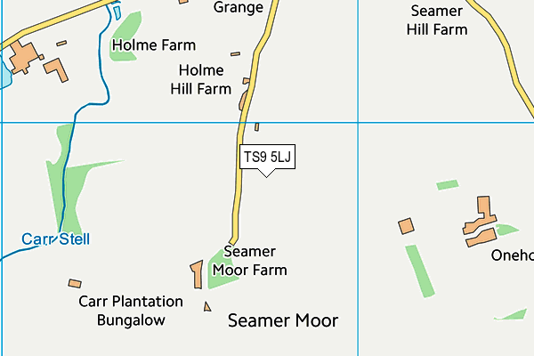 TS9 5LJ map - OS VectorMap District (Ordnance Survey)