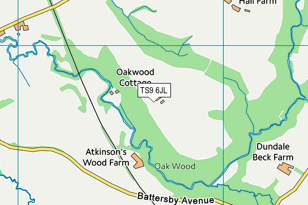 TS9 6JL map - OS VectorMap District (Ordnance Survey)