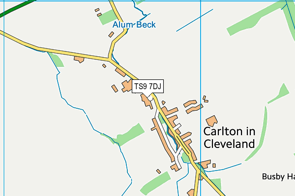 TS9 7DJ map - OS VectorMap District (Ordnance Survey)