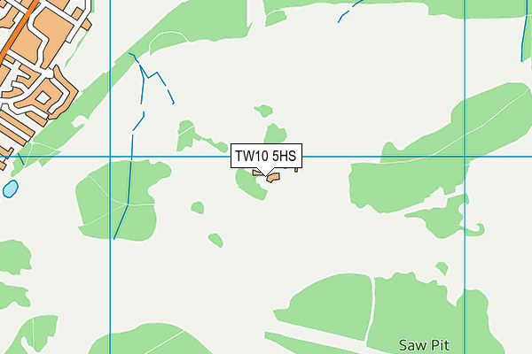 TW10 5HS map - OS VectorMap District (Ordnance Survey)