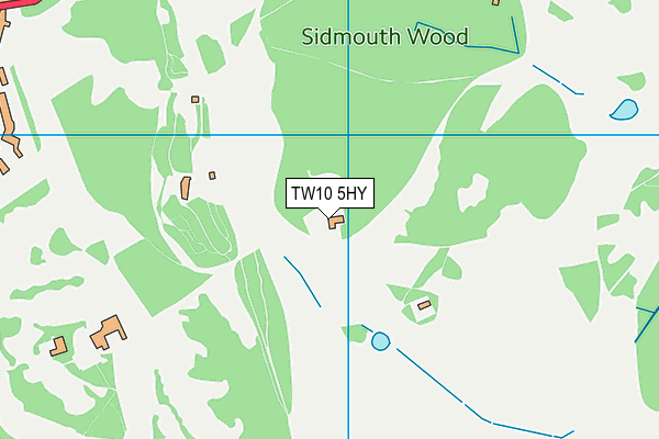 TW10 5HY map - OS VectorMap District (Ordnance Survey)