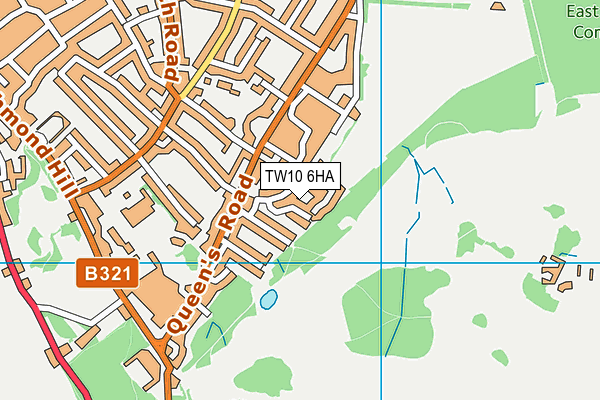TW10 6HA map - OS VectorMap District (Ordnance Survey)