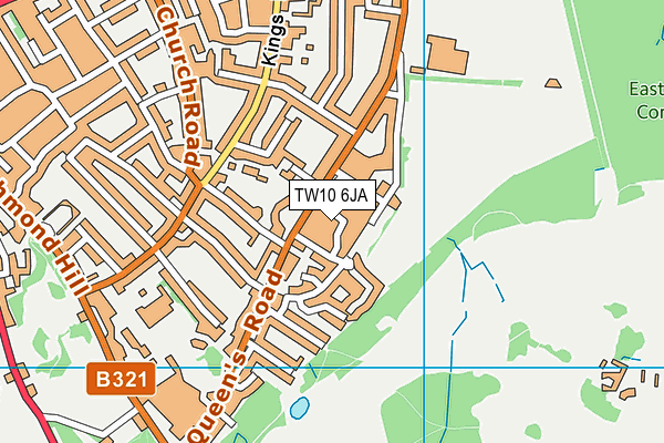 TW10 6JA map - OS VectorMap District (Ordnance Survey)