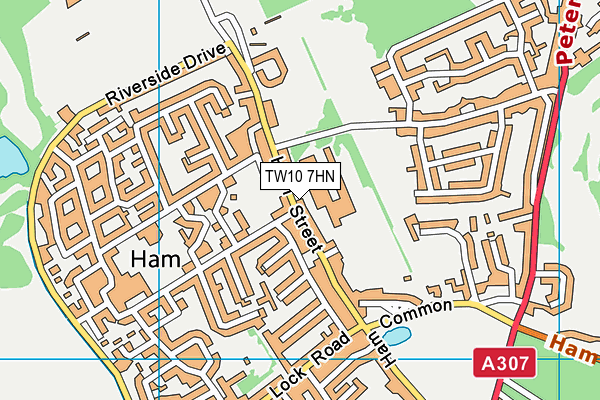Grey Court School map (TW10 7HN) - OS VectorMap District (Ordnance Survey)