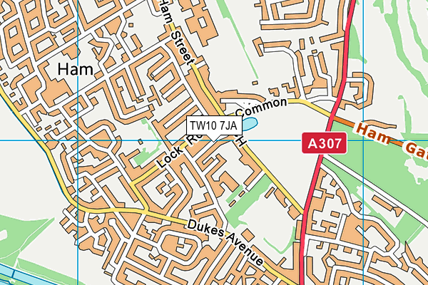 TW10 7JA map - OS VectorMap District (Ordnance Survey)