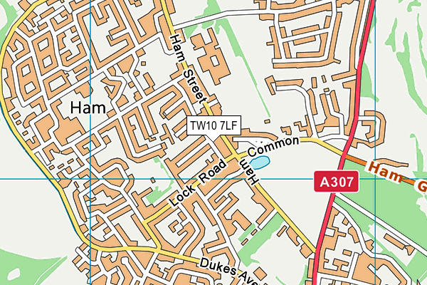 TW10 7LF map - OS VectorMap District (Ordnance Survey)