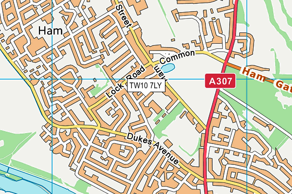 TW10 7LY map - OS VectorMap District (Ordnance Survey)