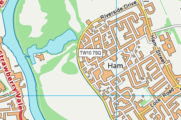 TW10 7SQ map - OS VectorMap District (Ordnance Survey)