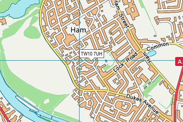 TW10 7UH map - OS VectorMap District (Ordnance Survey)