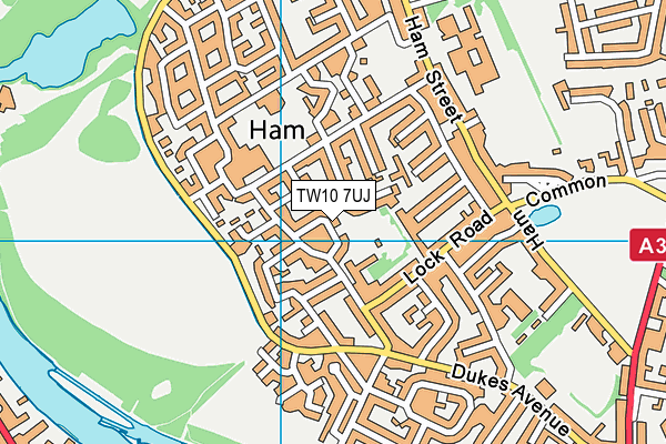 TW10 7UJ map - OS VectorMap District (Ordnance Survey)