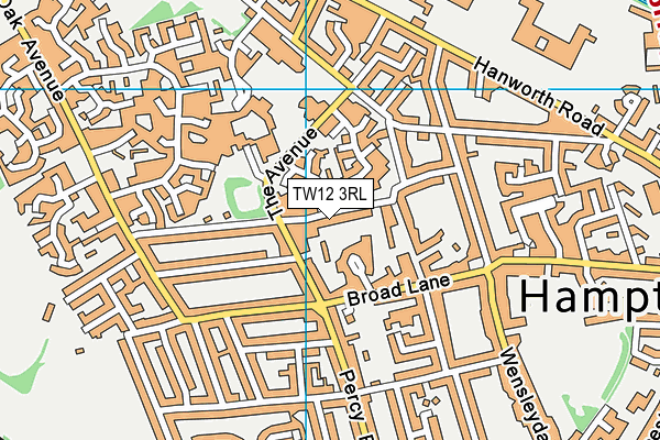 TW12 3RL map - OS VectorMap District (Ordnance Survey)