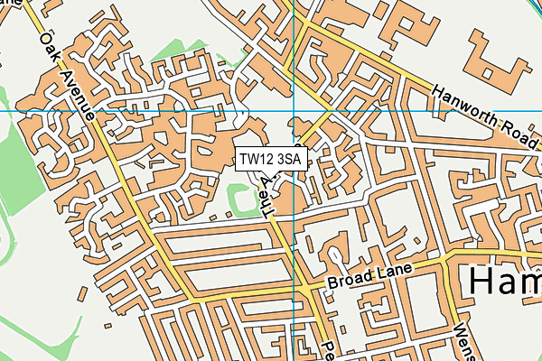 TW12 3SA map - OS VectorMap District (Ordnance Survey)