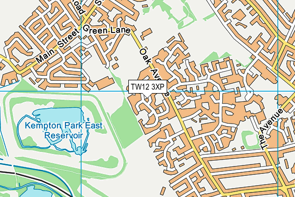 TW12 3XP map - OS VectorMap District (Ordnance Survey)