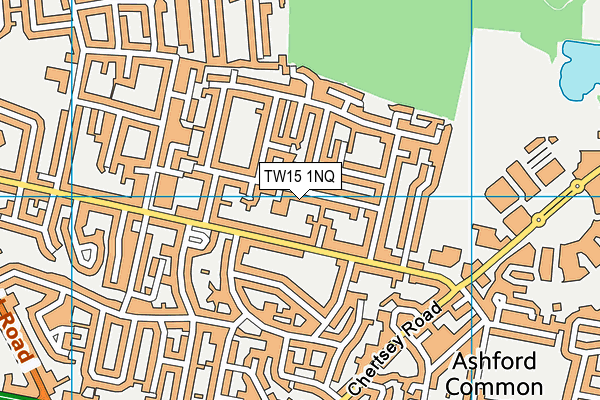 TW15 1NQ map - OS VectorMap District (Ordnance Survey)